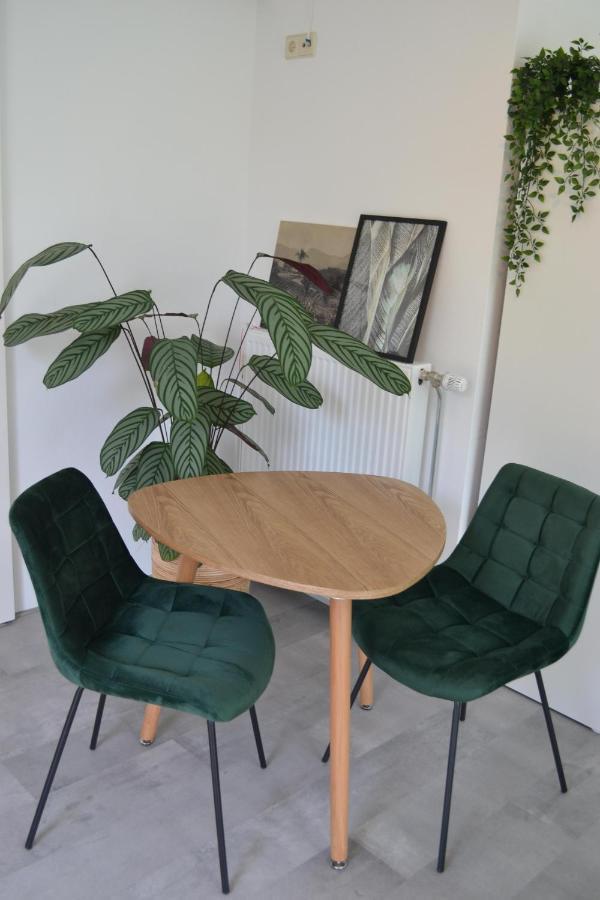 Studio 38 Zandvoort Luaran gambar